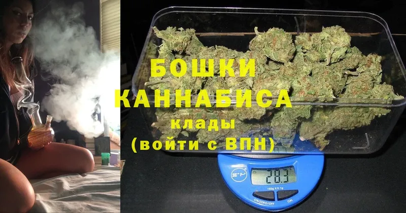 Бошки марихуана White Widow  купить закладку  Лесной 